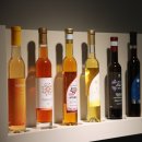 좋은 양조장 | [대부도] 친구들과 방문하기 좋은 곳 : 그랑꼬또 와이너리 양조장 투어 후기