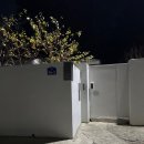 스테이솔올 이미지