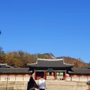 어진중학교 | (서울 경희궁) 기쁨이 넘치고 빛나는 경희궁에서 조선의역사와함께^^~ 11.21