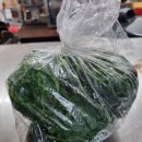 달리다굼 이미지