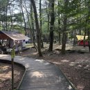 붉은오름자연휴양림 이미지