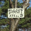광바위 주유소 이미지