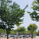 진정주약국 이미지