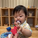 현대악기 - 동구 안산로 26 | 갈만한곳] 감성 가득 원목 교구가 가득한 곳! ‘도쿄장난감미술관 서울 팝업’ 천호 현대백화점 방문 후기
