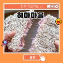 영농조합법인소담 이미지