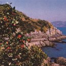 오동도로 이미지