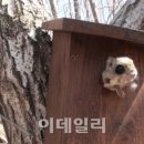 둥지종합관리 이미지