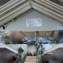 충렬로 | [웨딩일기]나의 최종 웨딩베뉴, 트리폰즈하우스 계약후기 / 본식 진행 후기🎄💗