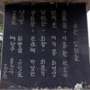 증산초등학교와 유성리 처진소나무 소개 이미지