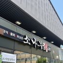 다송로72번길 | [부산/낫개] 다대동 횟집 추천, 푸짐한 한상차림 소나무회 내돈내산