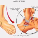 서울통정형외과의원 이미지