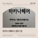 장유 미용실 추천｜코아상가 신상 미용실 마카나헤어스튜디오 방문 후기