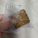 씨튼장애인직업재활센터 이미지