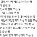 로또 1등 당첨자들이 꿨다던 꿈 이미지