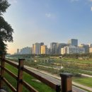 하안성당 | [경기 광명] 안양천 근처 화덕피자 맛집, 엘시네