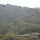 야은초교 이미지