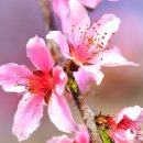 광산민박 이미지