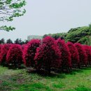 상승농장1 이미지