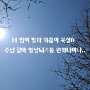 북앤미