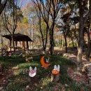 아이숲어린이도서관 이미지