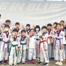 정음태권도 이미지