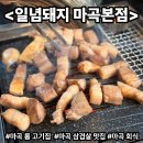 골먹가게 - 고양시 일산서구 가좌2로 20 | [마곡맛집] 건조 웻웨이징 교차숙성 삼겹살 목살 맛집 <일념돼지 마곡본점> 룸 완비 마곡 회식 장소로 딱!