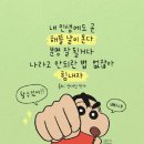 신선화학