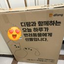 재리펫 | 디팡 4mm 펫 미끄럼 방지 애견 매트 구매 후기