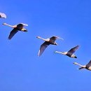 김영식공인중개사사무소 이미지