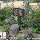 온수근린공원 이미지