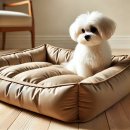 강아지공간 이미지