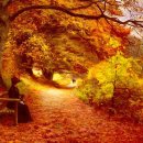 화면속으로 이미지