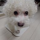 동이네집 이미지