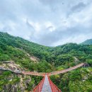 거창 항노화 힐링랜드 이미지