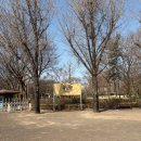 비어오크 | ONE OK ROCK 원 오크 락 2026 내한 콘서트 2일차 후기 입장 시간, 시야, MD (잠실 체육관)