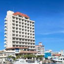 오투사거리(관) 3 | 만타의 섬 이시가키로! | 직접 다녀온 스쿠버다이빙 투어 후기