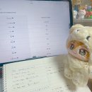 소설일본어 | [일본어] 오레노벤쿄方法だよ(^^)v: 전화일본어 내돈내산 랭디 1달 후기