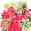 수채화(오후) 이미지