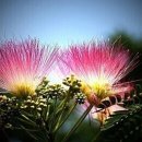 안경인생 이미지