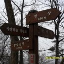 우암산등산로1 이미지