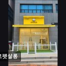 베르펫살롱 이미지