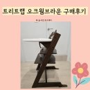 오크트리 | 트리트랩 오크 웜 브라운 사용후기 및 설치방법