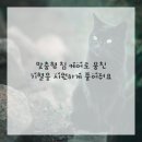 안성맞춤한의원 이미지