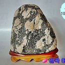 꽃돌농장 이미지