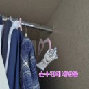 땅별꿈