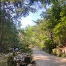 서면愛굴다리벤치길- | 2024 서울 청계산 등산 후기 / 최단코스 매봉 정상 소요시간