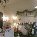 나나와메이 이미지