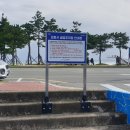 코지스위트 | 포항 당일치기 완벽 코스 - 동해바다와 대게먹방 코지스위트 팬션 후기