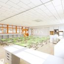 삼일초등학교 이미지