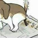 69호텔 이미지